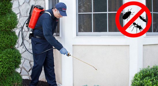 Marmaraereğlisi Kemirgen İlaçlama böcek ilaçlama ve haşere kontrolü — ilaclama-tr.com